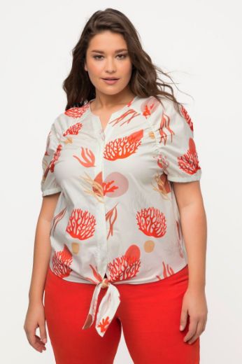 Moda za polnejše Bluza kratkih rukava plus velikost, xxl, Ulla Popken in Johann Popken (JP1880)