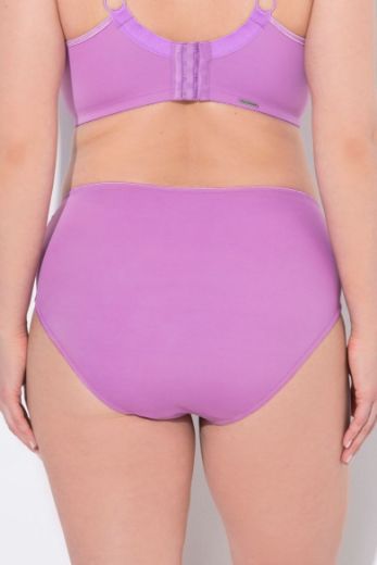 Moda za polnejše Gaćice od mikrofibre plus velikost, xxl, Ulla Popken in Johann Popken (JP1880)