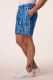 Slika Hlače bermude