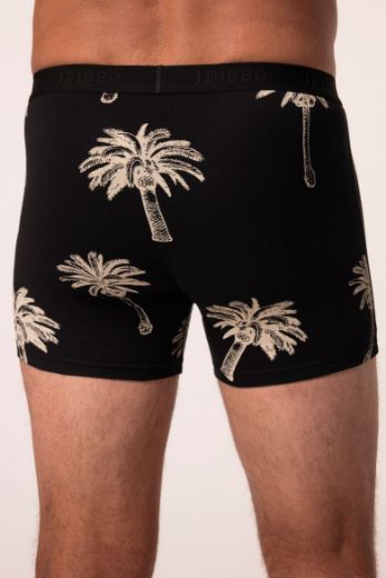 Moda za polnejše Bokserice 2 komada plus velikost, xxl, Ulla Popken in Johann Popken (JP1880)
