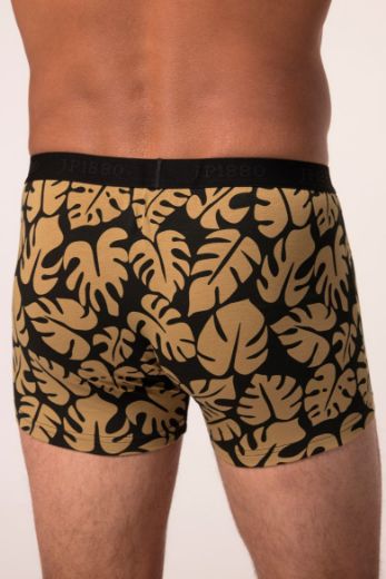 Moda za polnejše Bokserice 2 komada plus velikost, xxl, Ulla Popken in Johann Popken (JP1880)