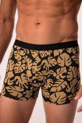 Moda za polnejše Bokserice 2 komada plus velikost, xxl, Ulla Popken in Johann Popken (JP1880)