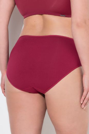 Moda za polnejše Gaćice 5 komada plus velikost, xxl, Ulla Popken in Johann Popken (JP1880)