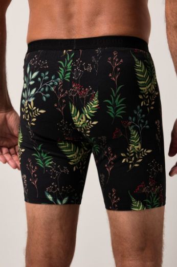 Moda za polnejše Bokserice dužih nogavica plus velikost, xxl, Ulla Popken in Johann Popken (JP1880)