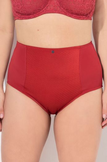 Moda za polnejše Gaćice visokog struka plus velikost, xxl, Ulla Popken in Johann Popken (JP1880)