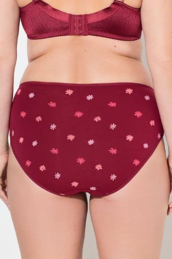 Moda za polnejše Gaćice midi  5 komada plus velikost, xxl, Ulla Popken in Johann Popken (JP1880)