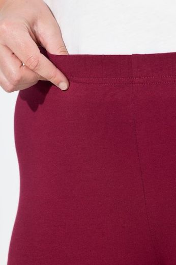 Moda za polnejše Tajice s čipkom plus velikost, xxl, Ulla Popken in Johann Popken (JP1880)