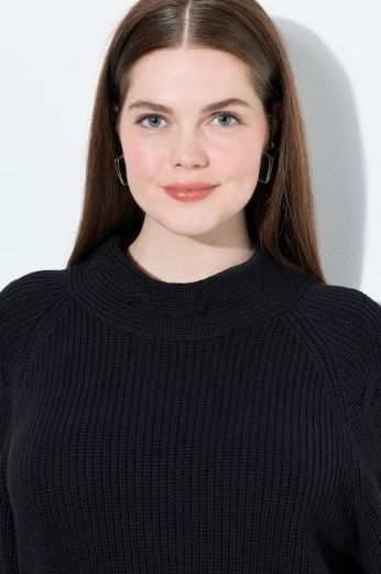 Moda za polnejše Pulover od eko pamuka plus velikost, xxl, Ulla Popken in Johann Popken (JP1880)