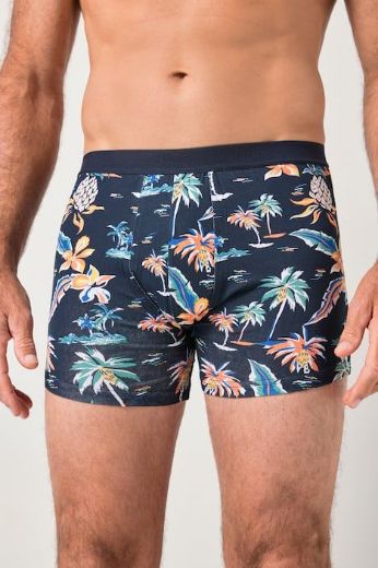 Moda za polnejše Gaće 2 u paketu plus velikost, xxl, Ulla Popken in Johann Popken (JP1880)