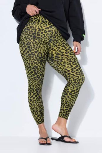 Moda za polnejše Tajice visokog struka plus velikost, xxl, Ulla Popken in Johann Popken (JP1880)