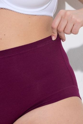 Moda za polnejše Gaćice maxi 3 komada plus velikost, xxl, Ulla Popken in Johann Popken (JP1880)