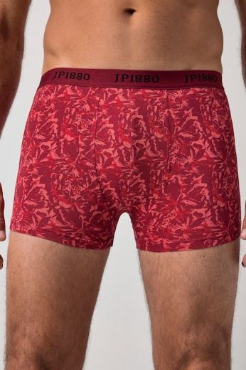 Moda za polnejše Bokserice 2 u paketu plus velikost, xxl, Ulla Popken in Johann Popken (JP1880)